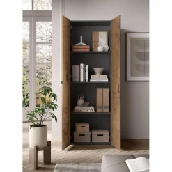 Armoire 2 portes multifonctionnelle Bois