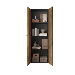 Armoire 2 portes multifonctionnelle Bois