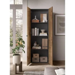 Armoire 2 portes multifonctionnelle Bois