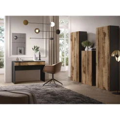 Armoire 2 portes multifonctionnelle Bois