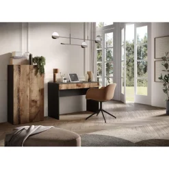 Armoire 2 portes multifonctionnelle Bois