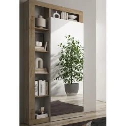 Armoire de couloir Ancona 1 Porte Miroir strucutre tringle à vetement L91 x H 209 cm