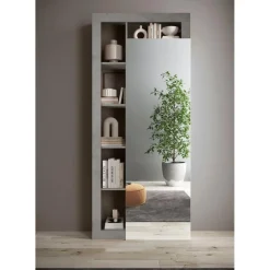 Armoire de couloir Ancona 1 Porte Miroir strucutre coloris effet Béton L91 x H 209 cm