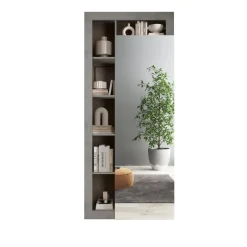 Armoire de couloir Ancona 1 Porte Miroir strucutre coloris effet Béton L91 x H 209 cm