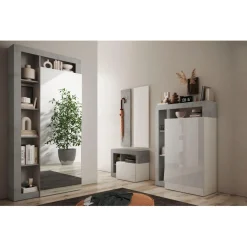 Armoire de couloir Ancona 1 Porte Miroir strucutre coloris effet Béton L91 x H 209 cm