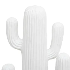 Cactus déco