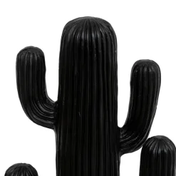 Cactus déco