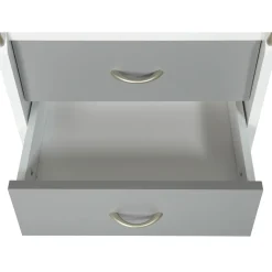 Caisson De Rangement Sur Roulettes Gris Blanc