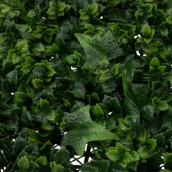 Carré végétal herbe