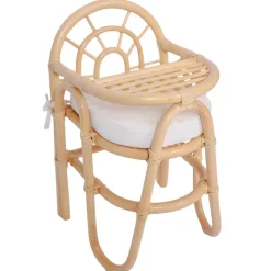 Cette chaise confortable et sécurisée design attrayant