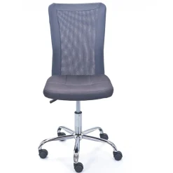 Chaise de bureau enfant à roulettes Gris DUTEL