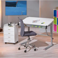Chaise de bureau enfant à roulettes Gris DUTEL
