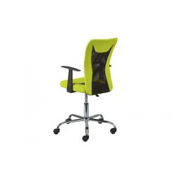 Chaise de Bureau Ergonomique Vert HYKO