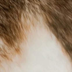 Décoration renne géant