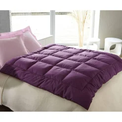 Edredon En DuvetD'OieLéger - Prune