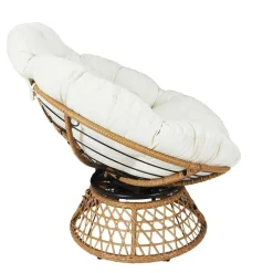 Fauteuil avec Coussin