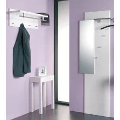 Garderobe murale barre et 4 crochets optique inox