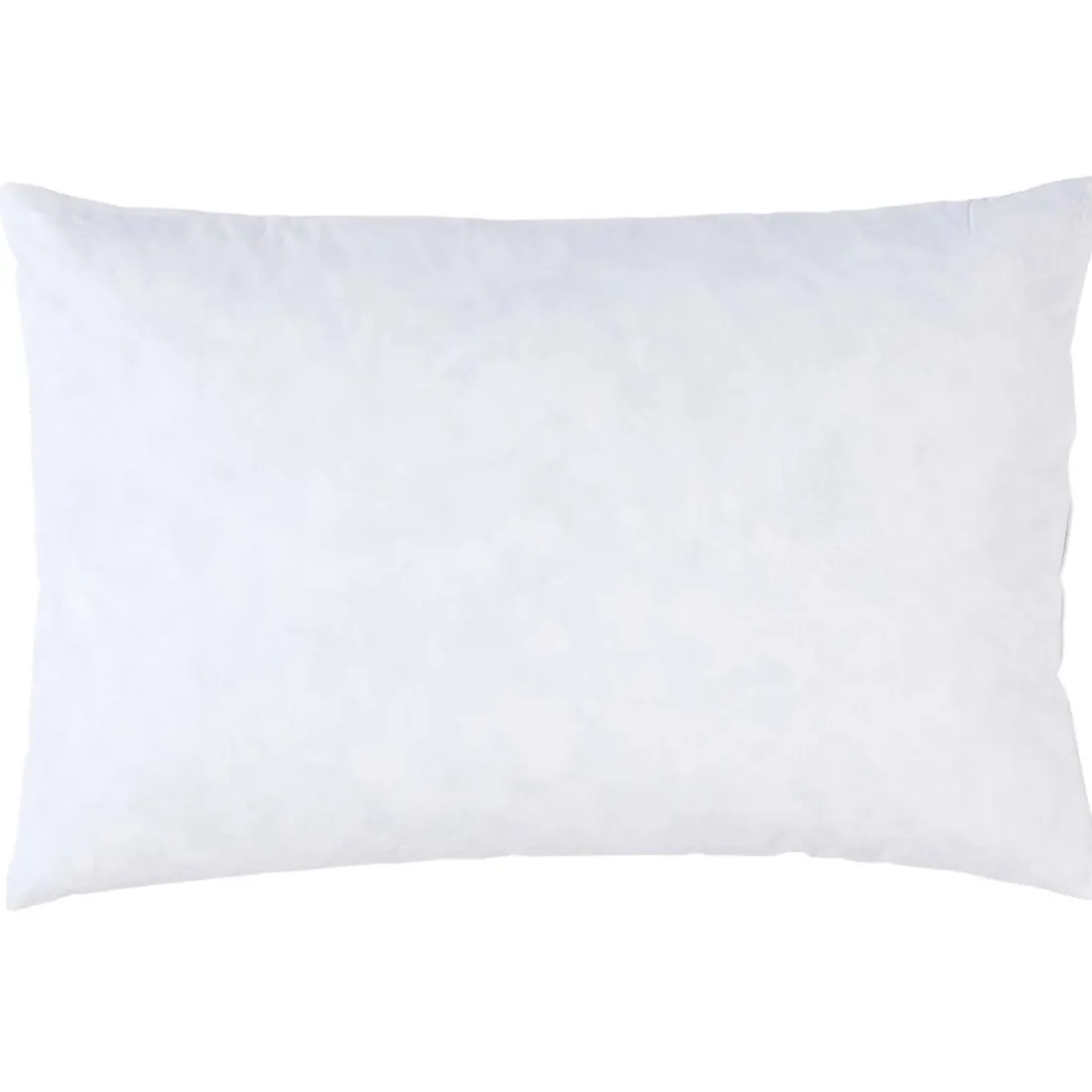 Interieur de coussin Plumes Blanc 60 x 40