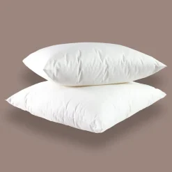 Lot de 2 Oreillers Moelleux Micrococoon