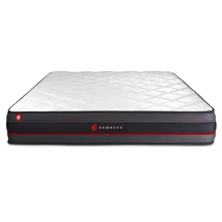 Matelas REGEN a memoire de forme