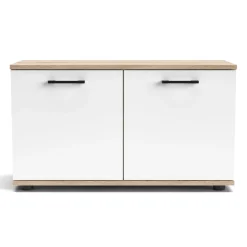 Meuble à chaussures Irysel Bois sonoma et Blanc