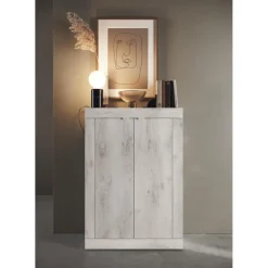 Meuble de rangement 2 portes multifonctionnel Blanc