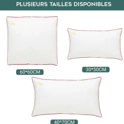 Oreiller 100% plume