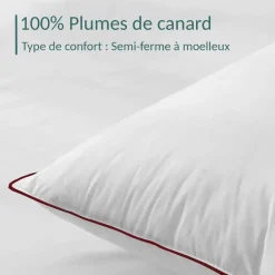 Oreiller 100% plume