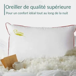 Oreiller 100% plume