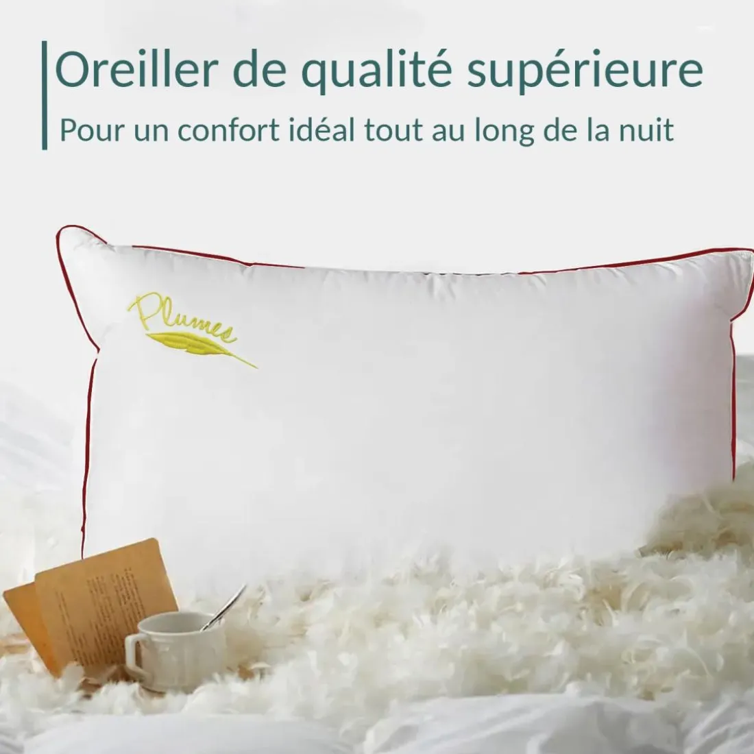 Oreiller 100% plume