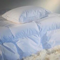 Oreillers 30% duvet ELINE