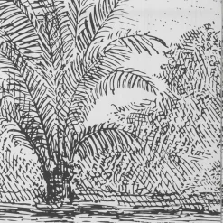 Paravent Imprimé Cuba Noir / Blanc