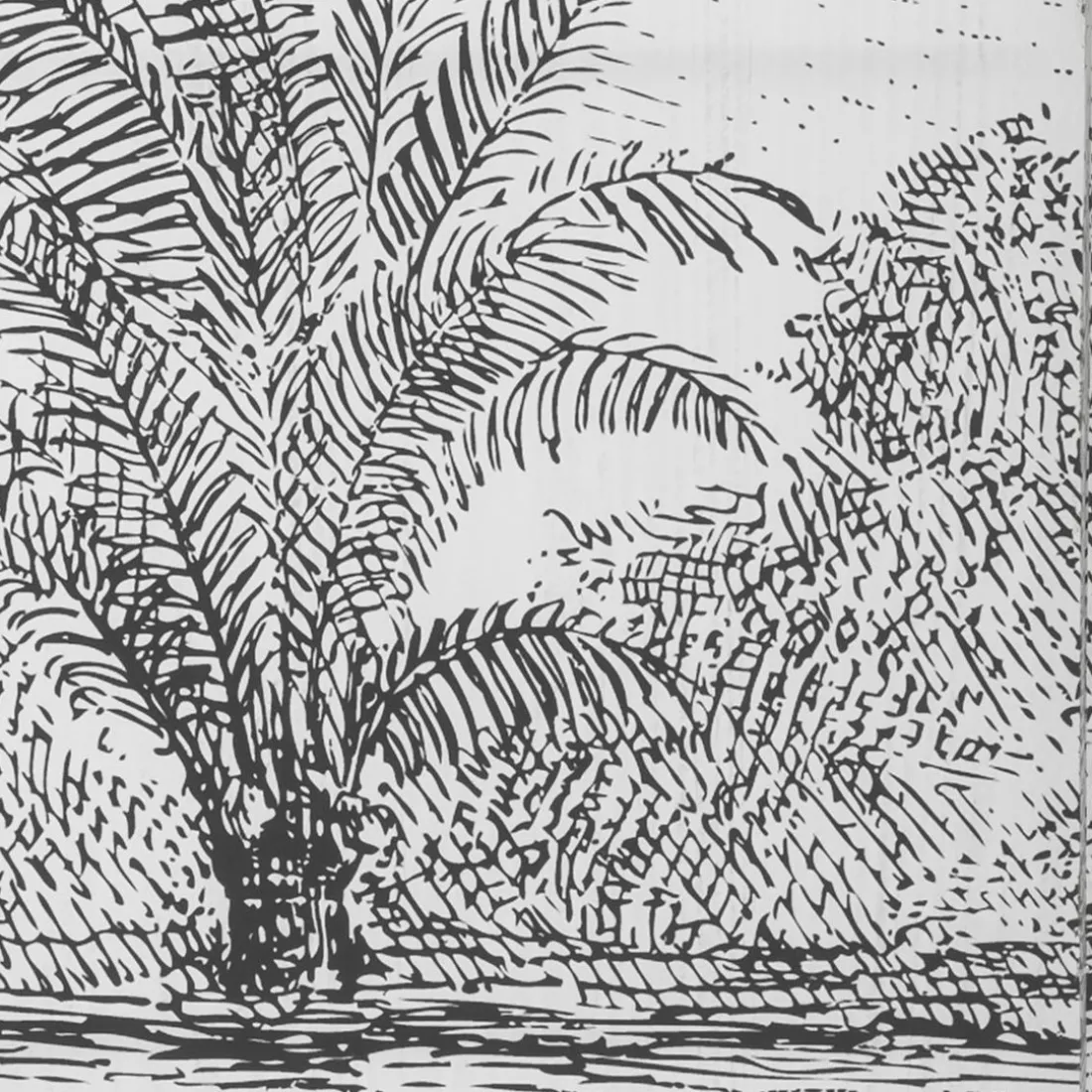 Paravent Imprimé Cuba Noir / Blanc