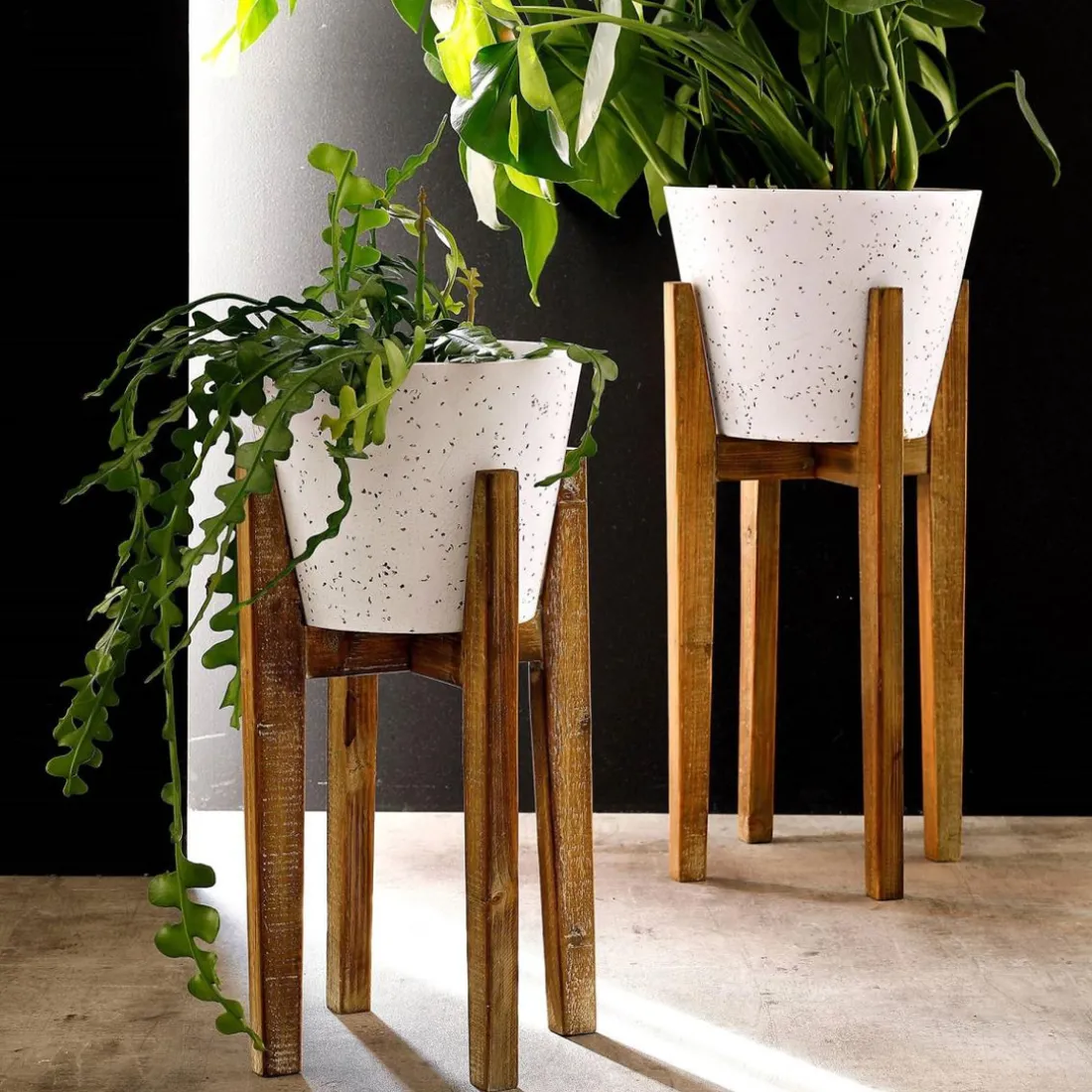 Pot Décoratif moyen en Bois et résine Plant Up Beige