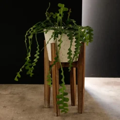 Pot Décoratif moyen en Bois et résine Plant Up Beige