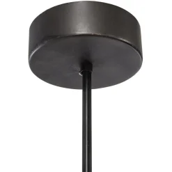 Suspension Collection