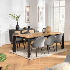 Table à manger MAXENCE 220/6501 pieds métal