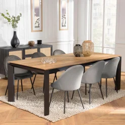 Table à manger MAXENCE 220/6501 pieds métal