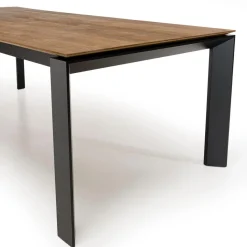 Table à manger MAXENCE 220/6501 pieds métal