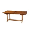 Table de jardin 8/10 personnes - rectangulaire extensible 180/240 x 100 cm en bois Teck huilé